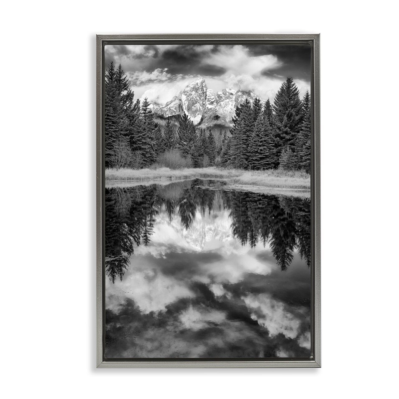 Stupell Industries Black & White Forest Reflection Framed Floater Canvas Wall Art Design by Rick Berk